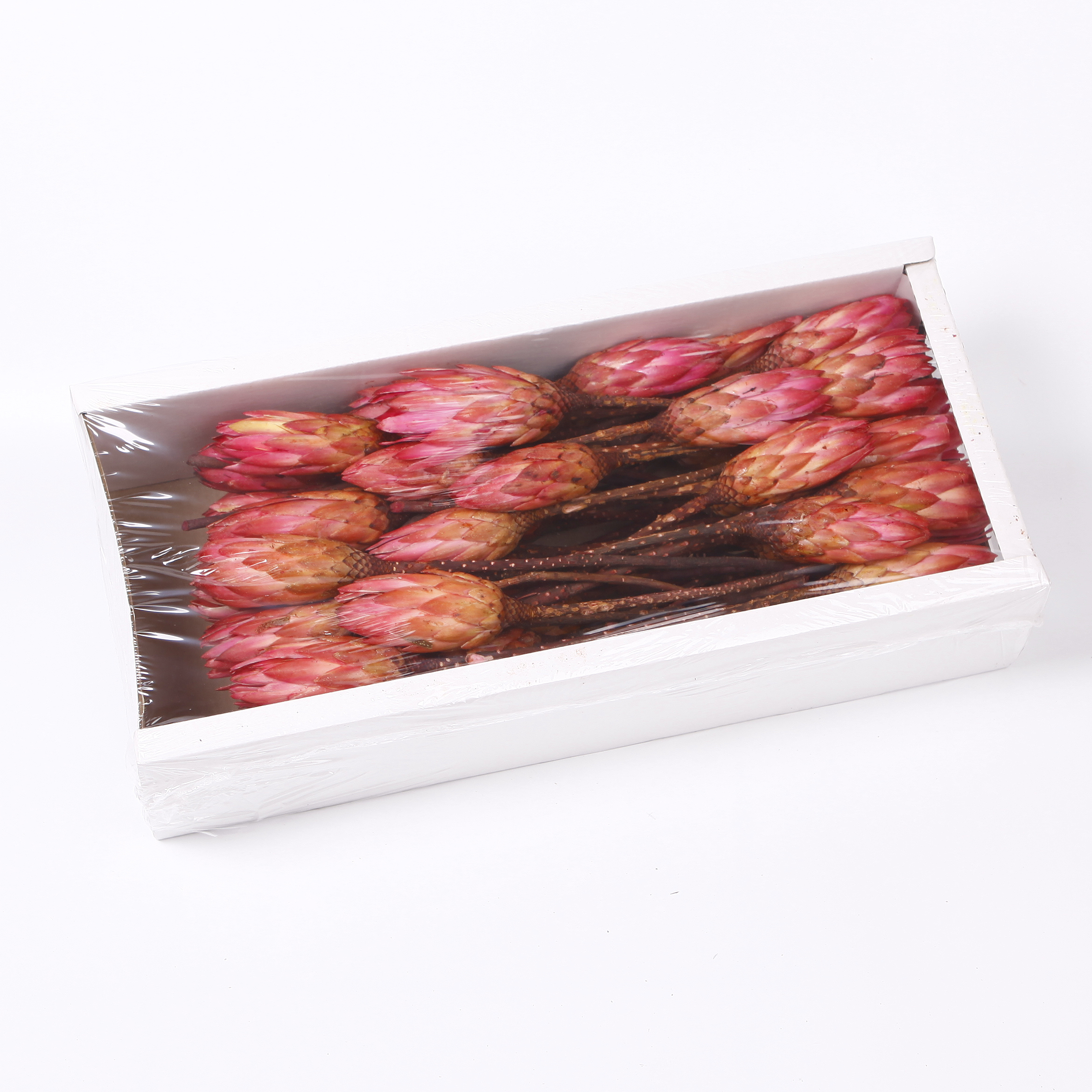 Sušina REPENS FLOWER ABSORBTION PINK TRAY 50pc