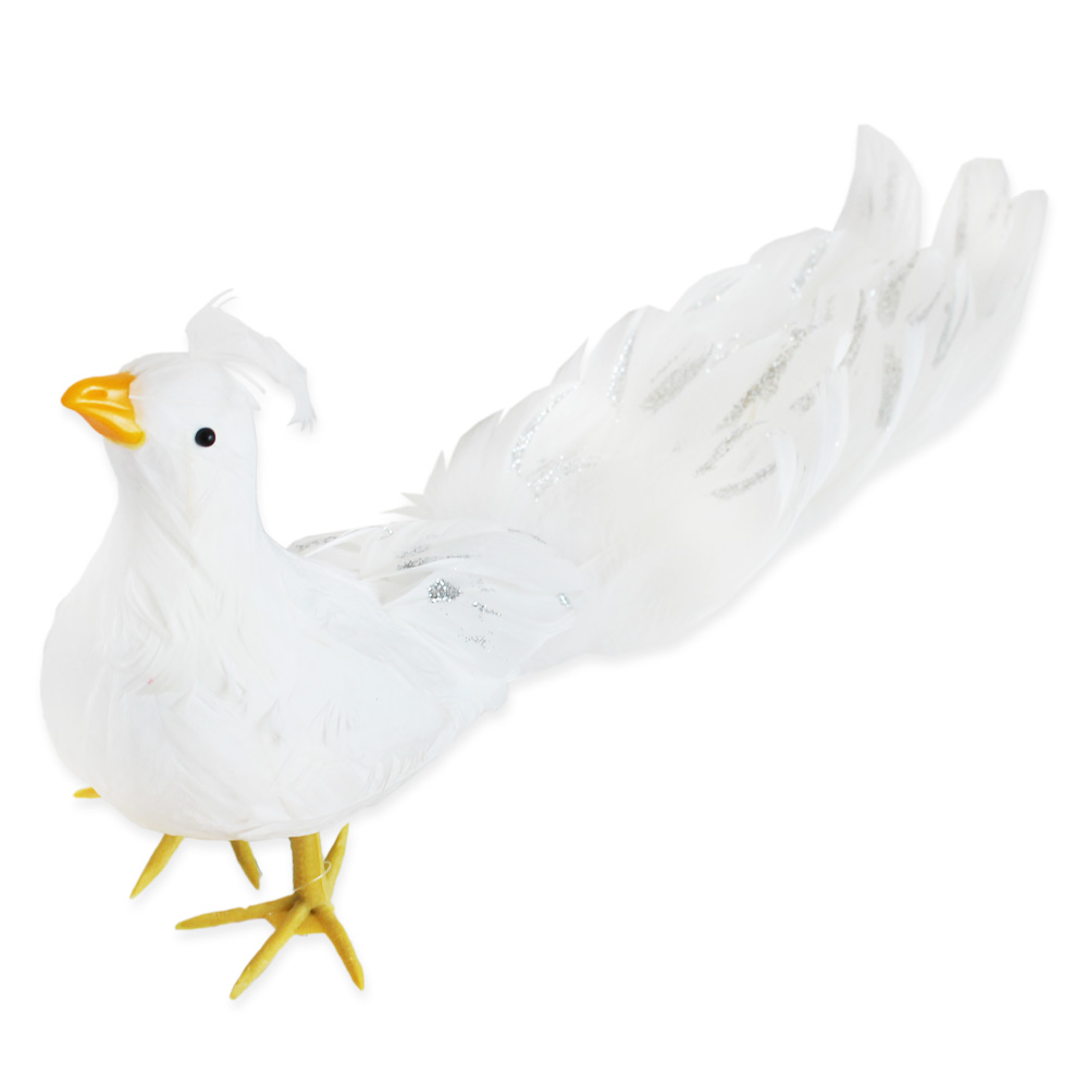 Páv peří dl.40cm bílý