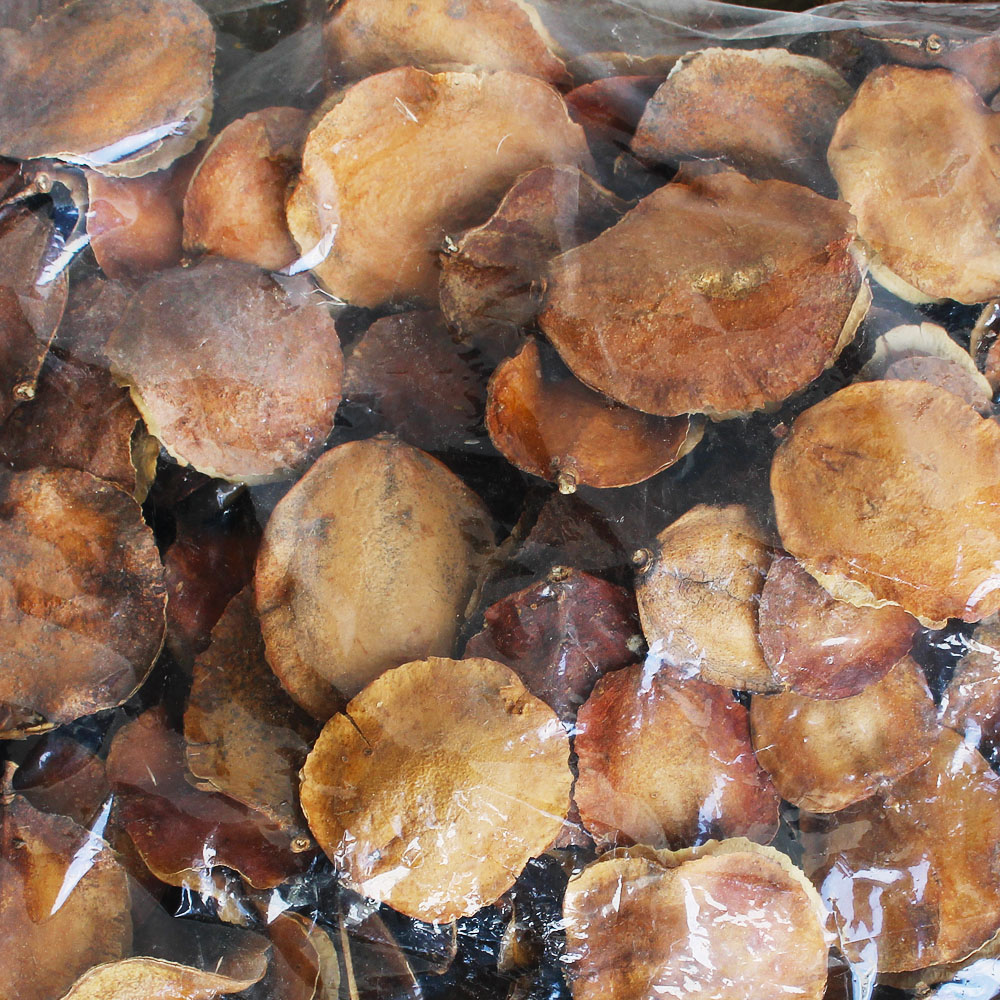 Sušina JACARANDA PODS NATURAL POLY BAG 1kg