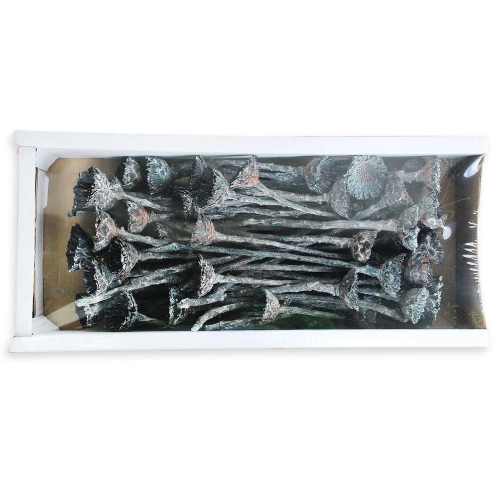 Sušina Compacta rosette frosted black tray S/50