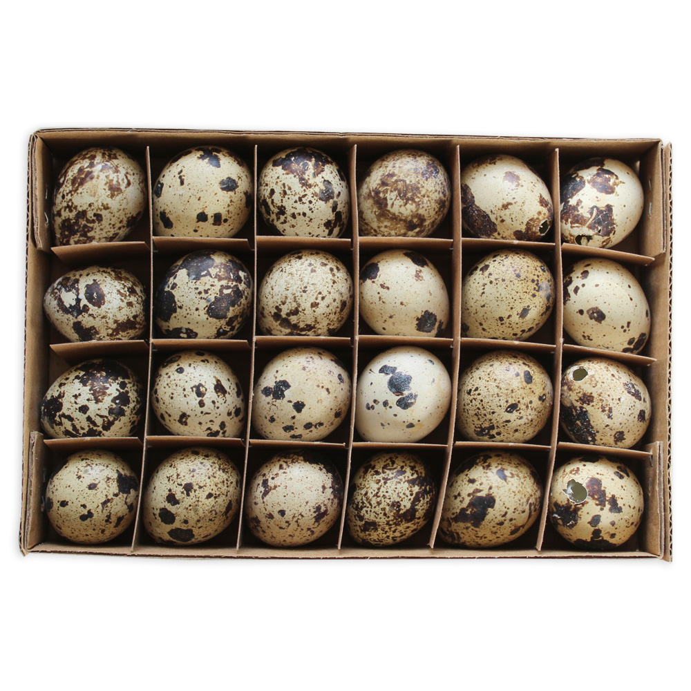 Křepelčí vejce 24ks/3cm natural