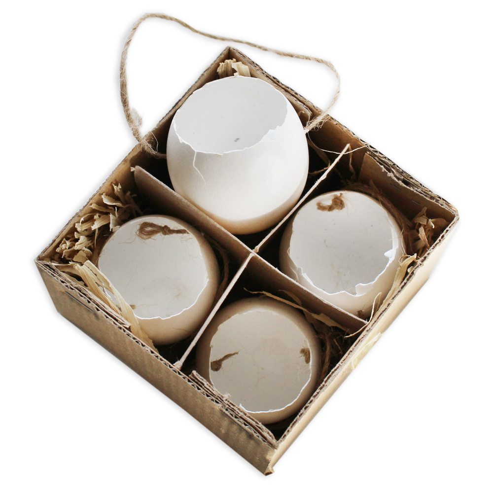 Skořápka závěs pr.6cm bílá S/4