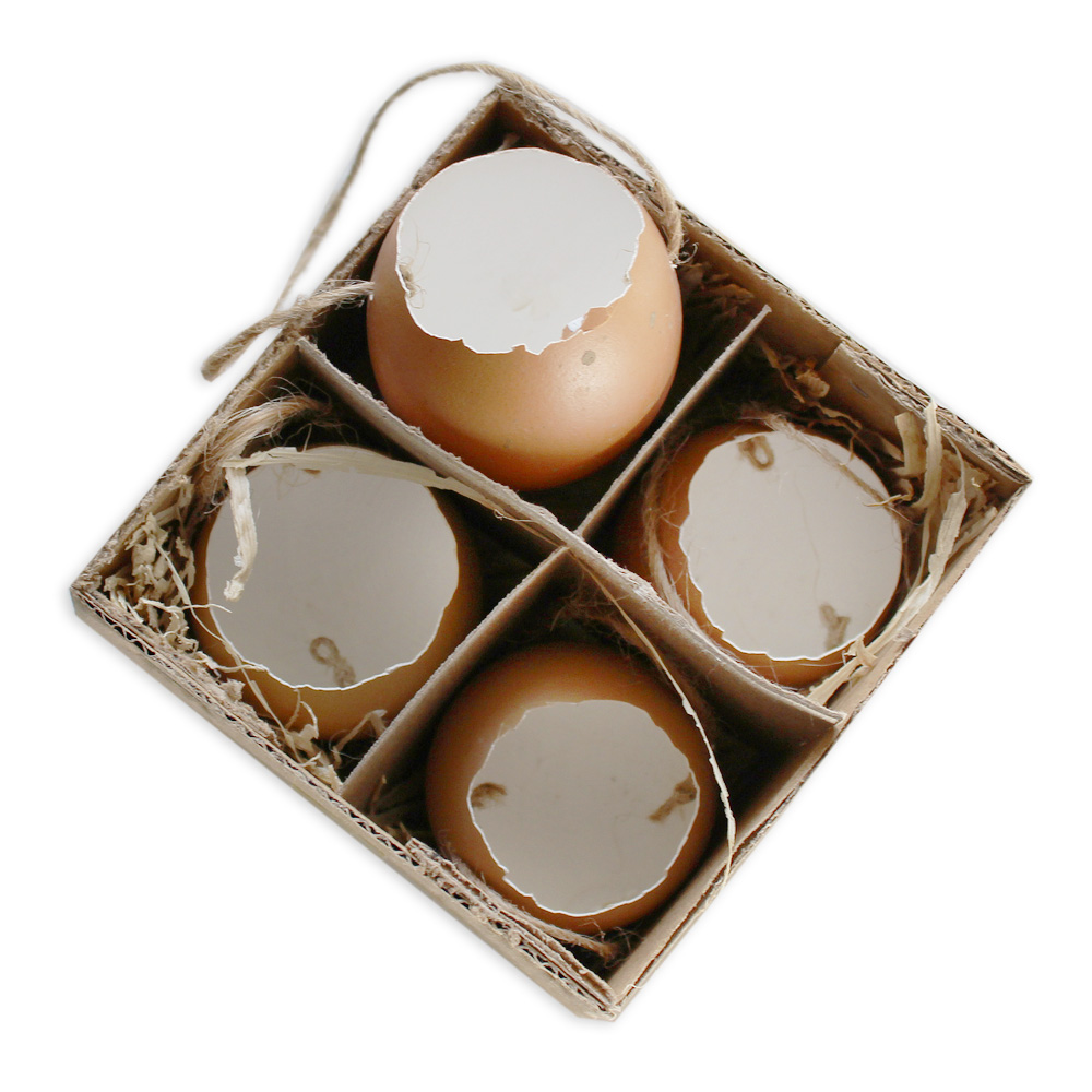 Skořápka závěs pr.6cm natural S/4