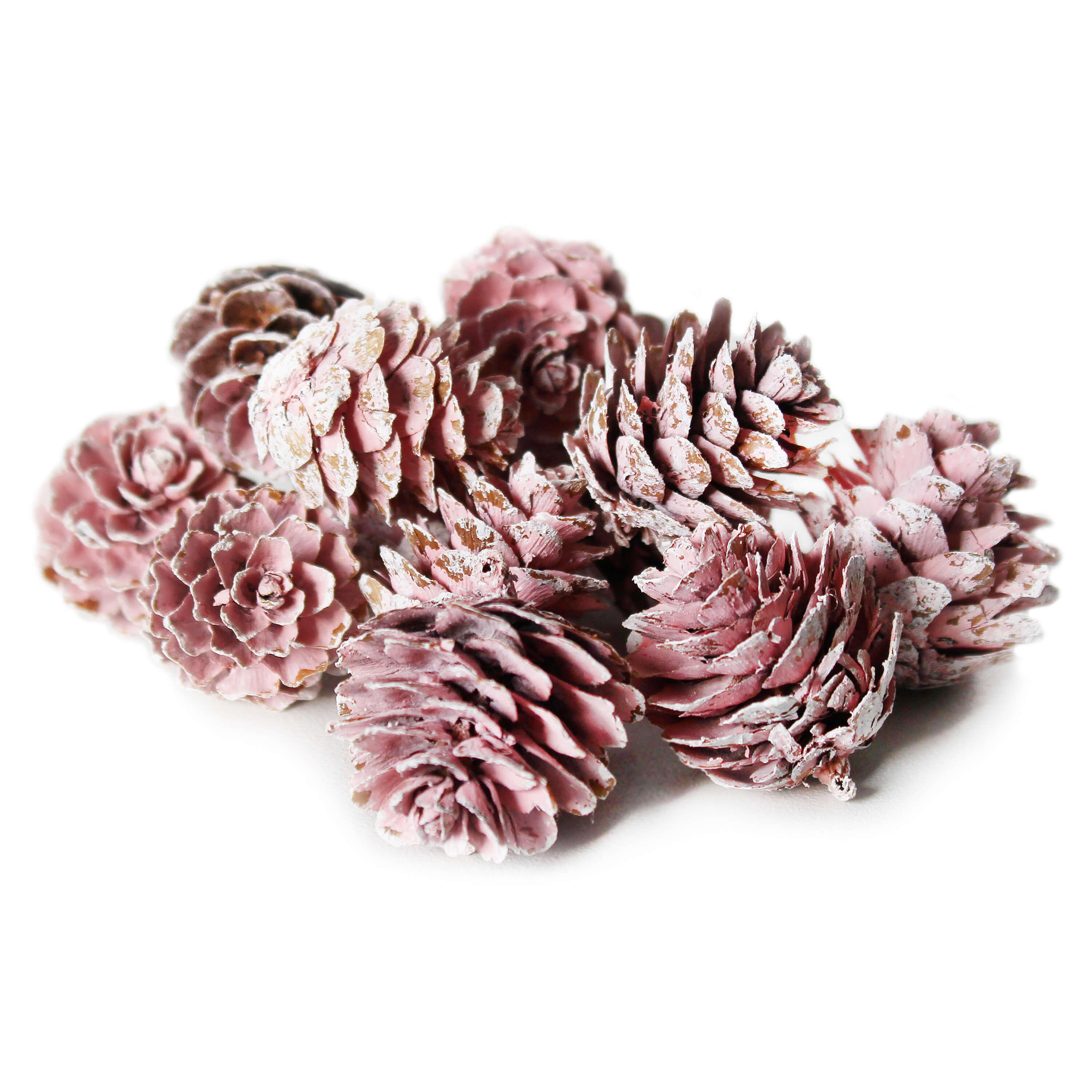 Sušina dekorační sušené plody 130g růžová