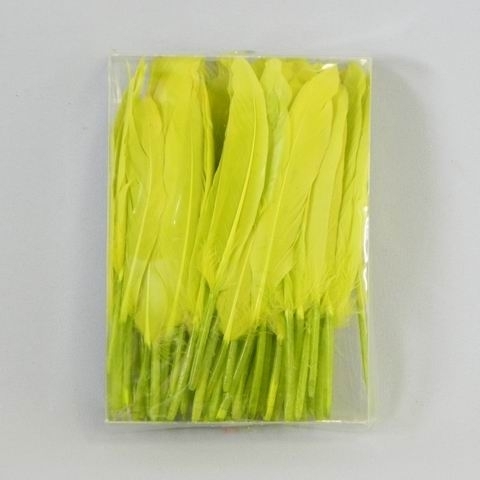 Peří brka zelená S/100