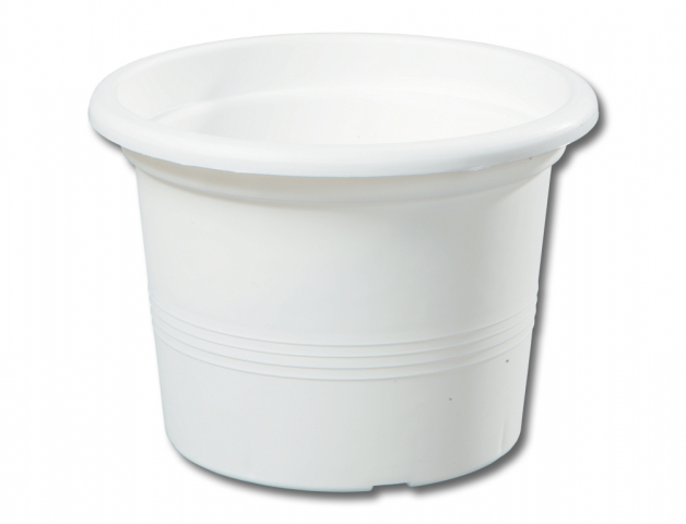 PK květináč Campanula pr.13x9cm bílý