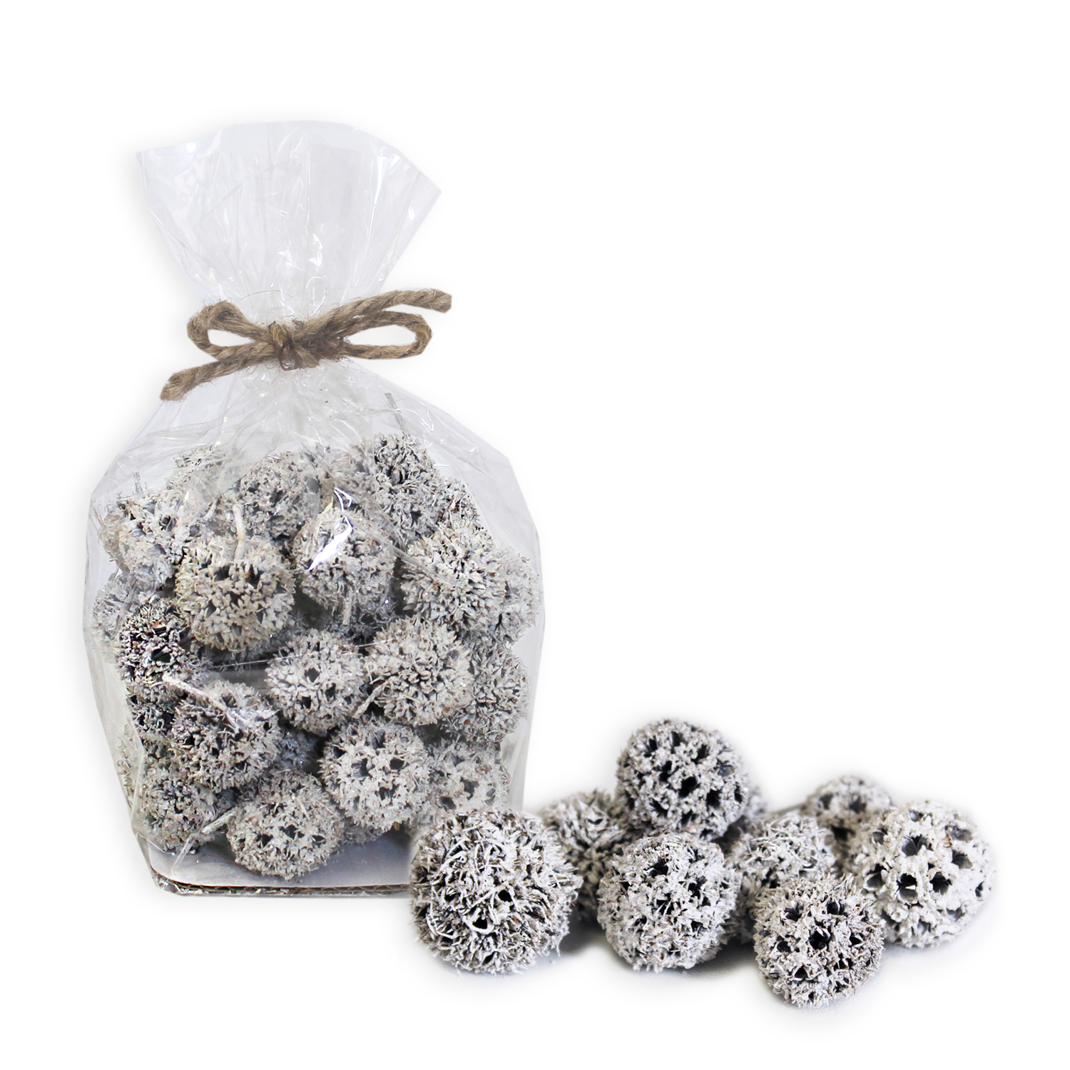 Sušina Ambroň plody pr.2-3cm bílé