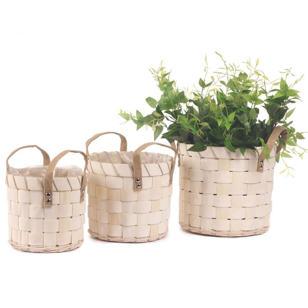 Koše dřevo Legno pr.25x22cm S/3 natural