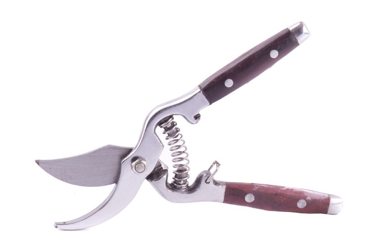 Nůžky DeLuxe zahradní s aretací dl.20cm