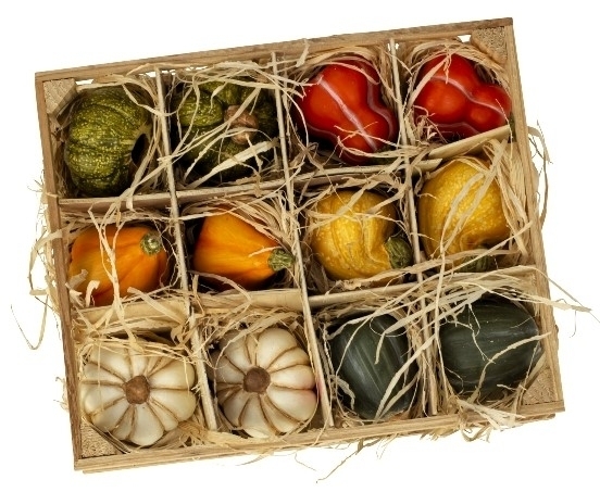 Dýně keramika v krabičce pr.5cm S/12 mix