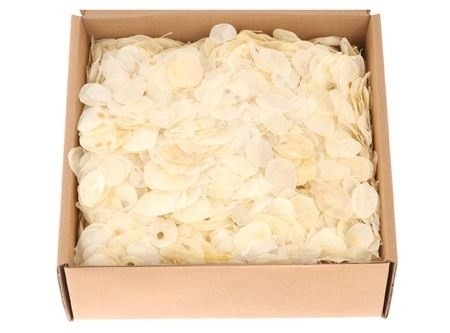 Sušina Lunaria Leaves bělená