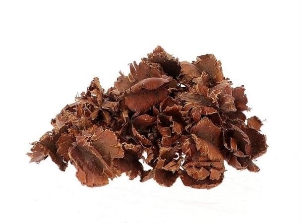 Sušina Amaranthus s/5 - žlutý