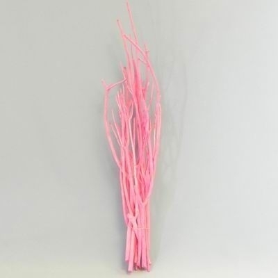 Sušina Mitsumata větvě v.60cm růžová S/12