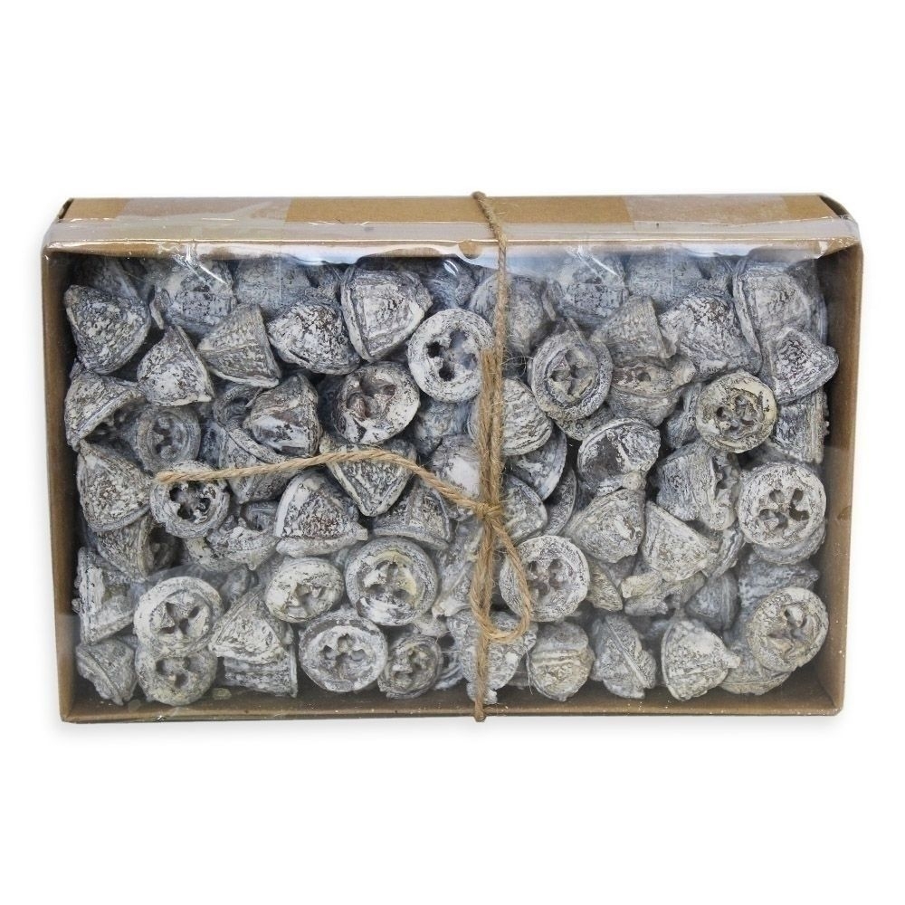 Sušina Eukalyptus plody 500g bílá patina