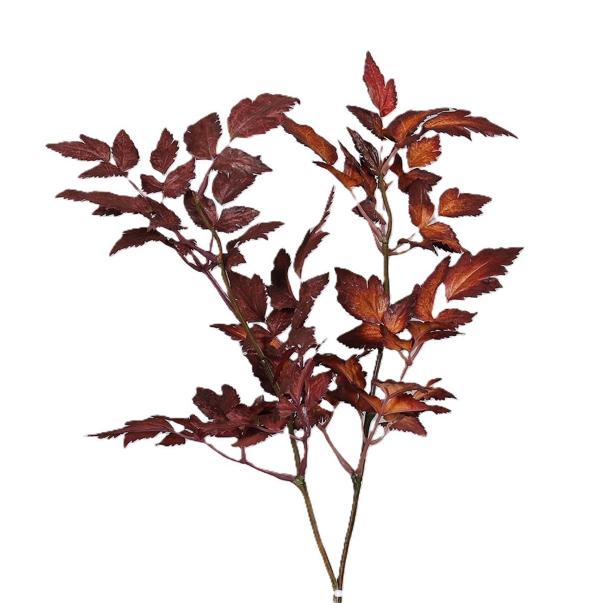 UK Listy podzim mix dl.50cm