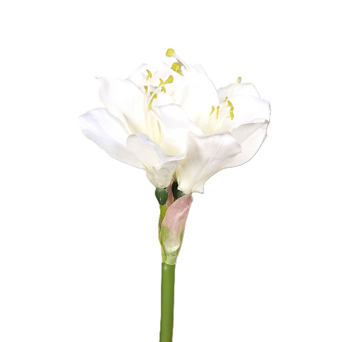 UK Amaryllis cream dl.44cm