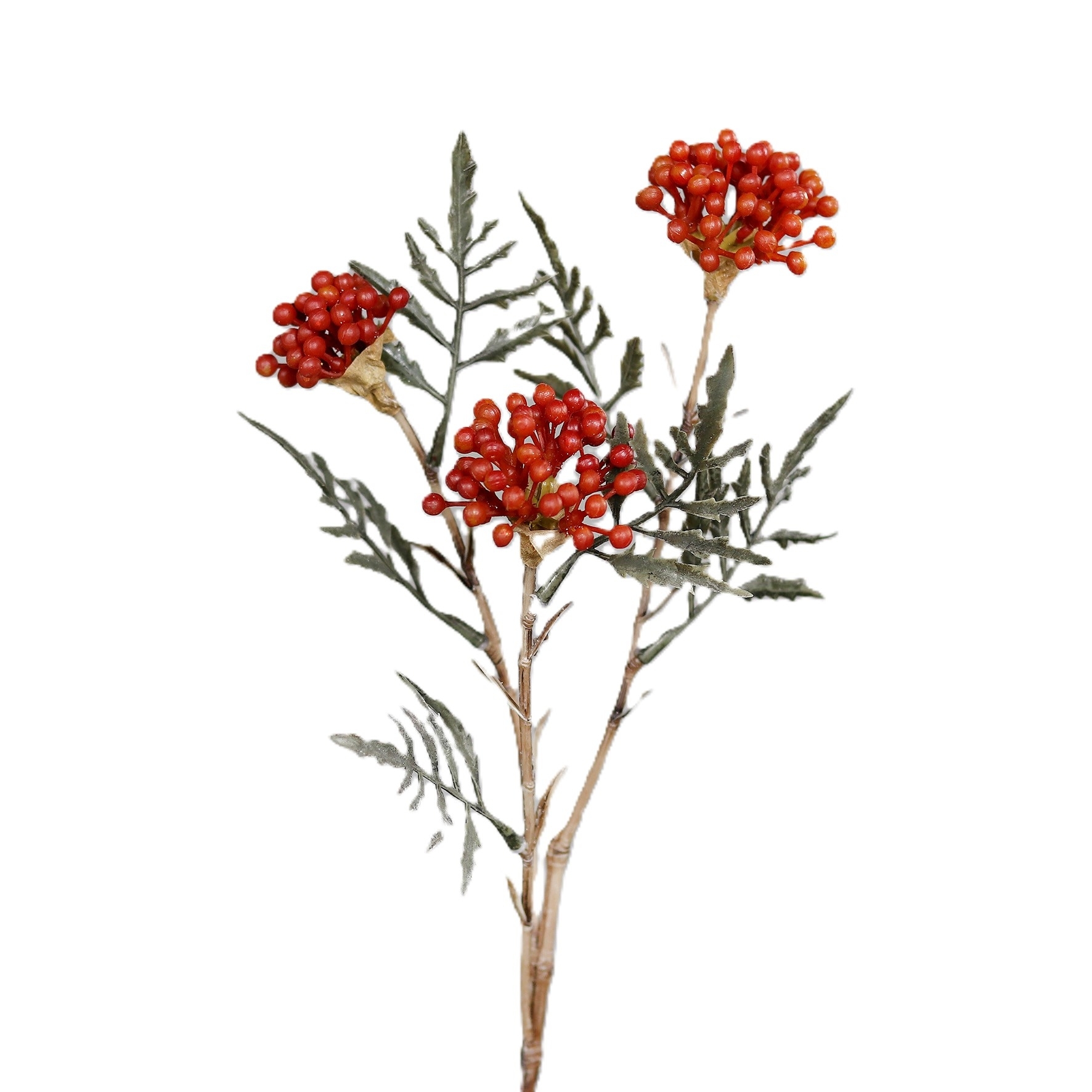 UK Berry Branch or/red dl.47cm
