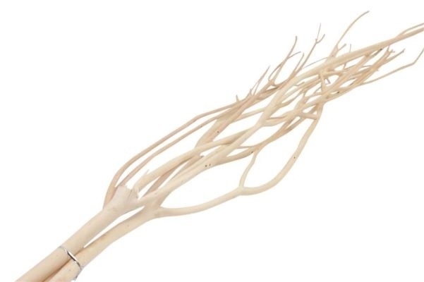 Sušina Mitsumata bianco dl.115cm S/3ks