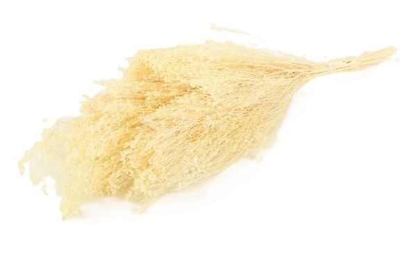 Sušina Broom bloom 100gr bělené