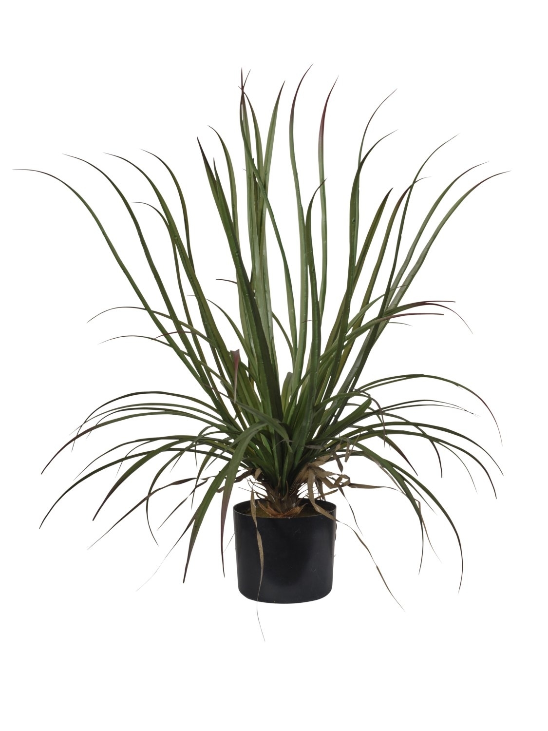 UK Dracena květináč v.75cm pvc