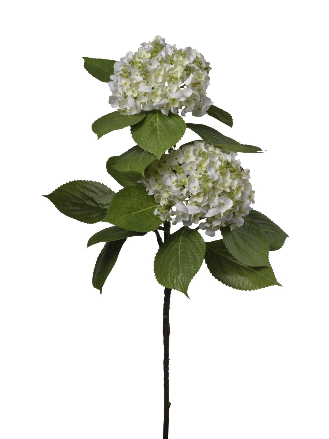 UK Hortenzie cream x2/80cm pvc