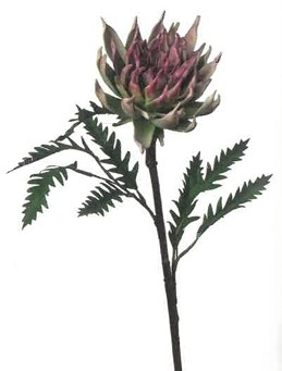 UK Protea v.39cm  fialovo-zelená pvc