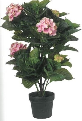 UK Hortenzie v květináči x3/v.73cm růžová pvc