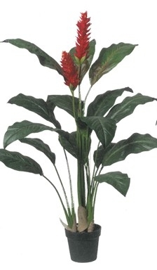 UK Ginger červený v květináči v.131cm pvc