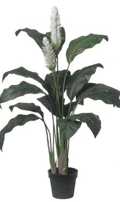 UK Ginger bílý v květináči v.131cm pvc