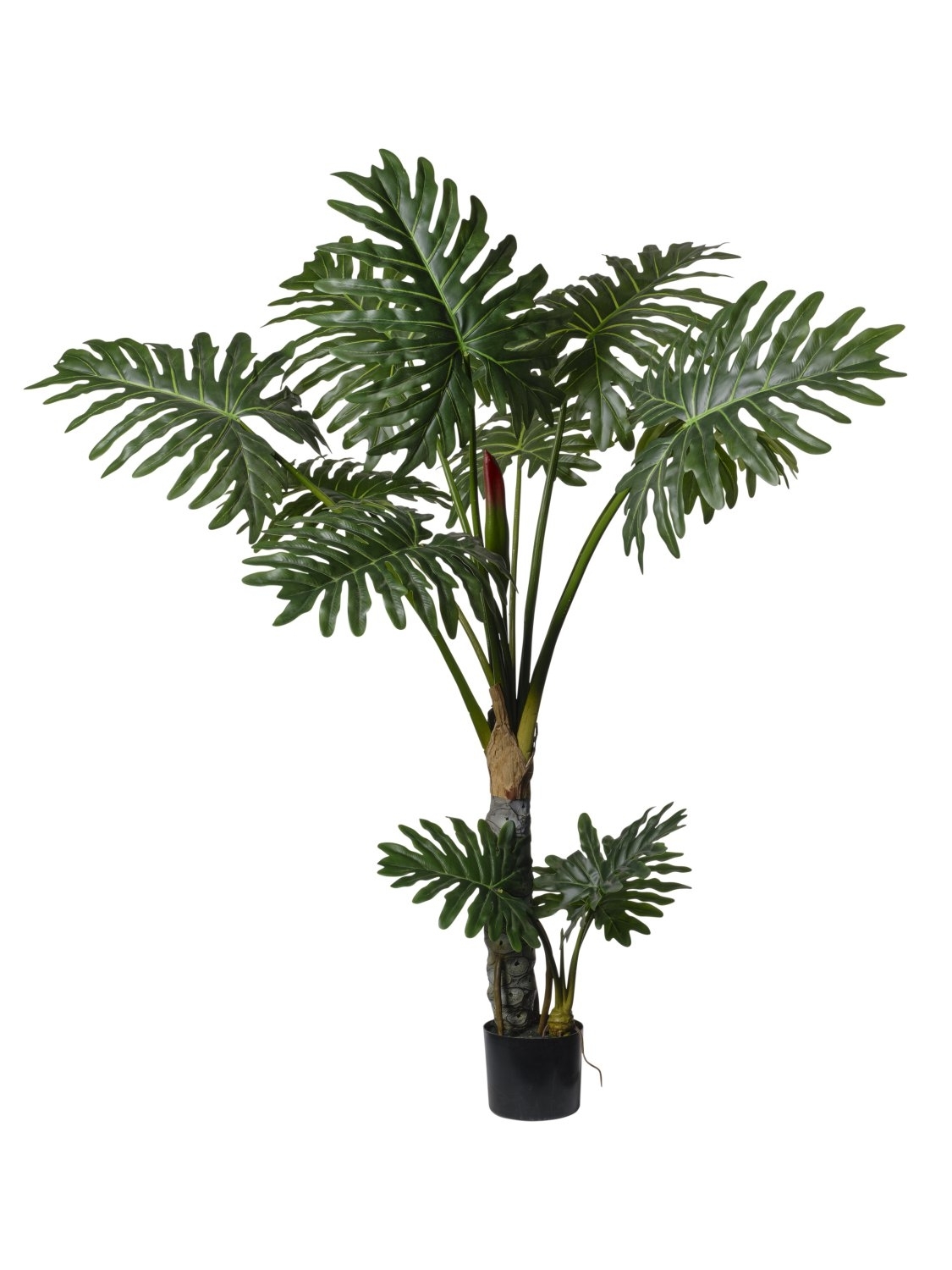 UK Philodendron květináč v.130cm pvc