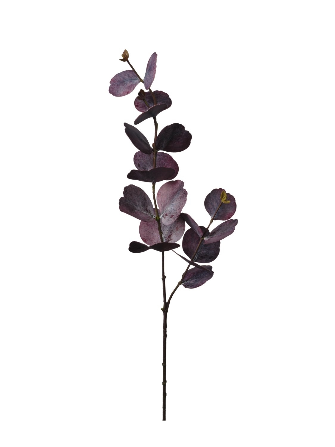 UK Větev Eucalypt x2/v.75cm bordó pvc