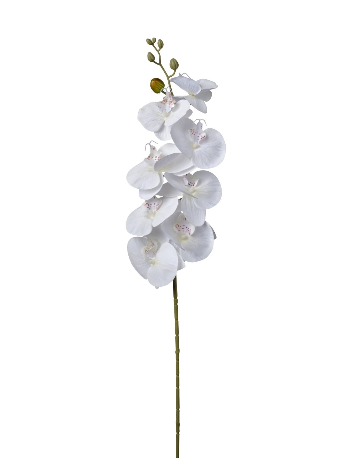 UK Orchidea Phal. dl.90cm cream pvc