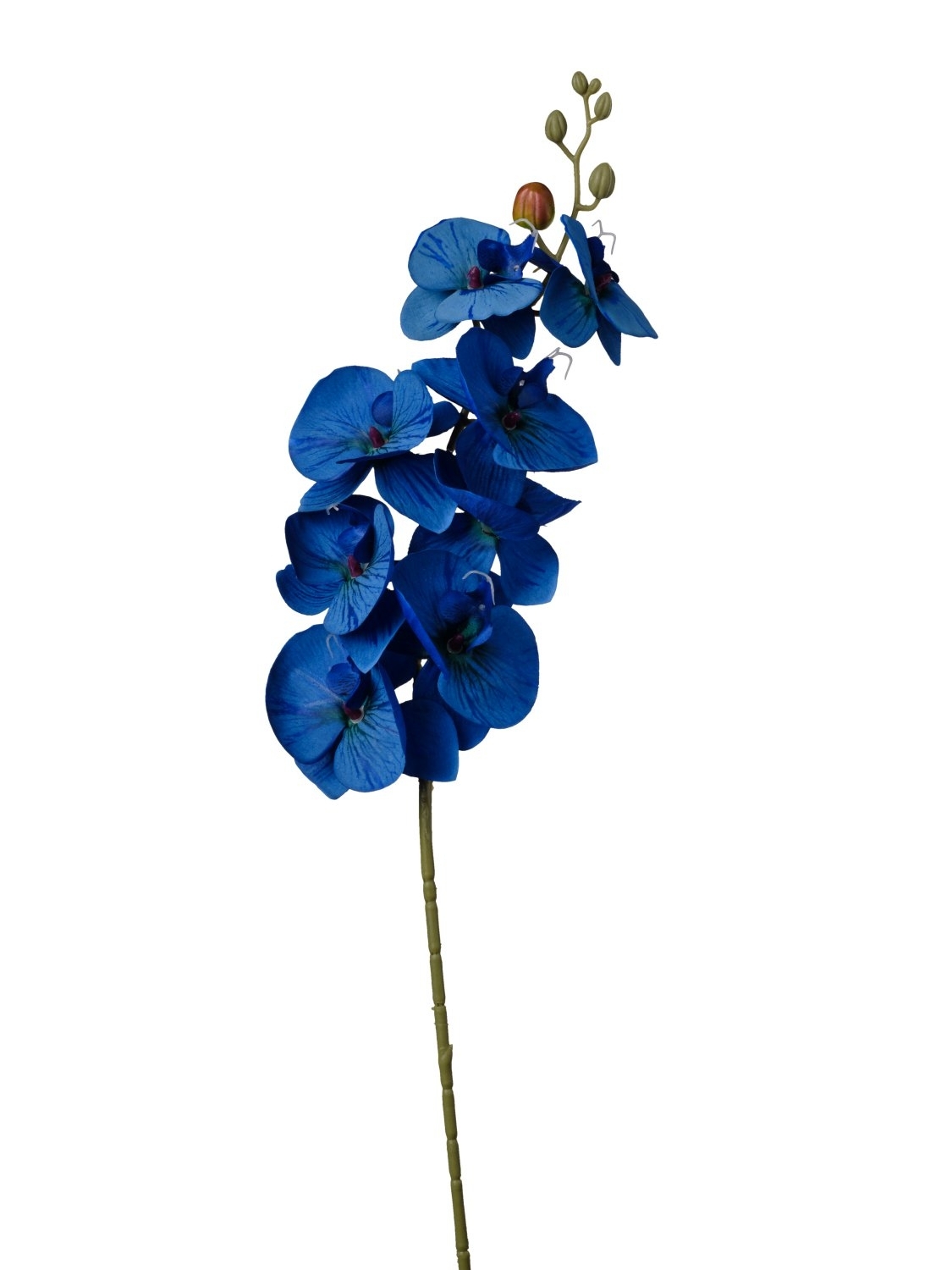 UK Orchidea Phal. dl.90cm modrá pvc