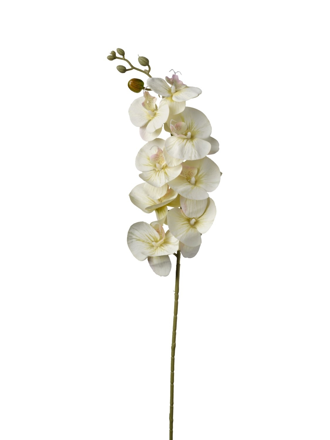 UK Orchidea Phal. dl.90cm cream green pvc