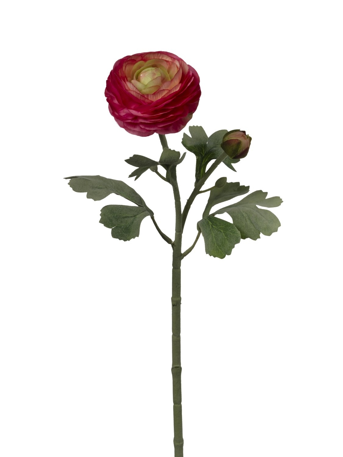 UK Ranunculus x2/v.49cm broskvový pvc