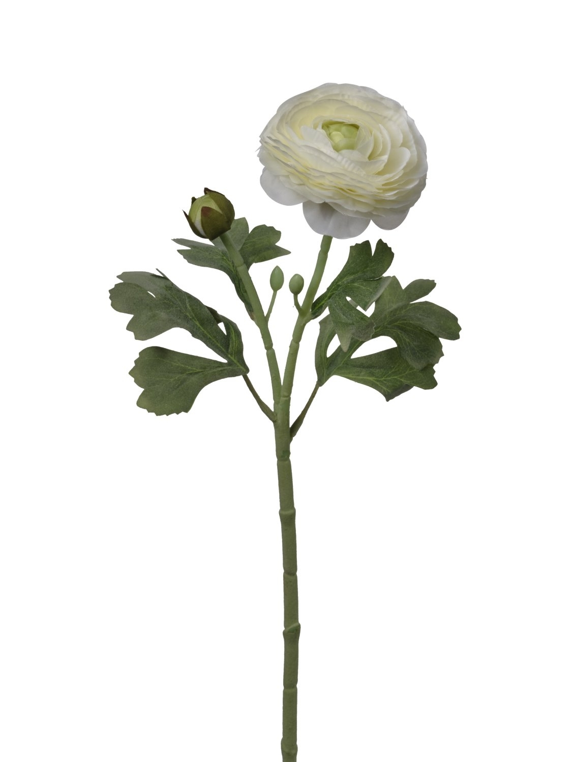 UK Ranunculus x2/v.49cm bílý pvc
