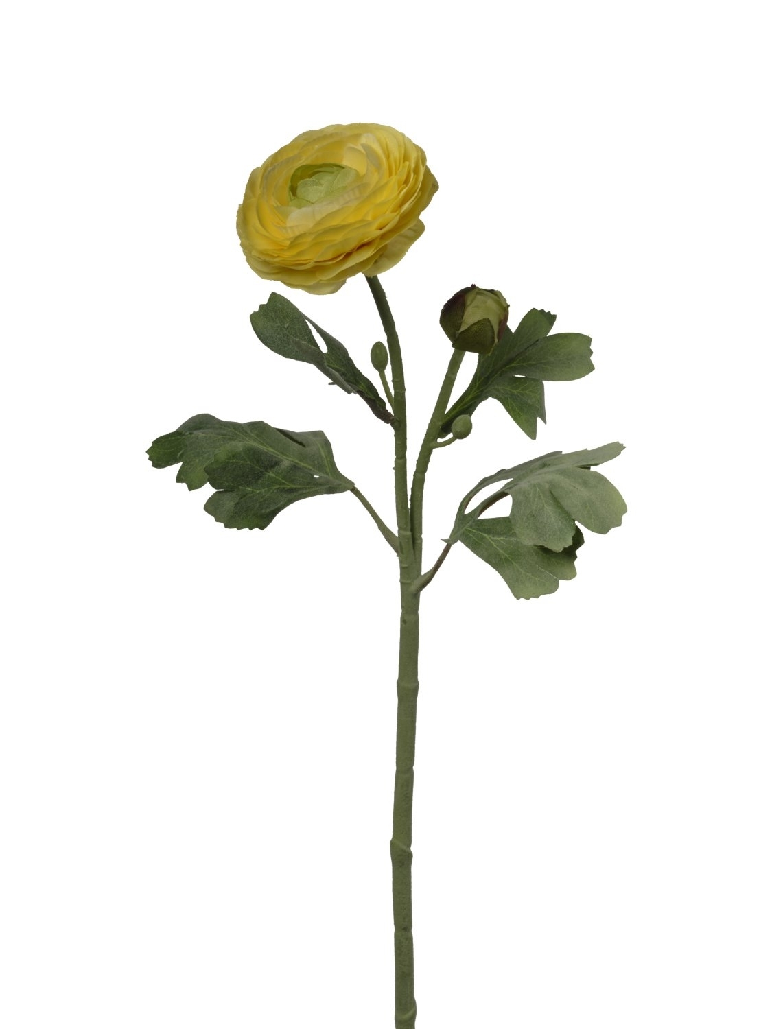 UK Ranunculus x2/v.49cm žlutý pvc