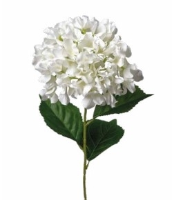 UK Hortenzie dl.70cm cream pvc