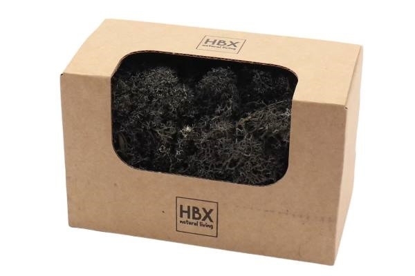 Sušina Moss Reindeer 50g černý