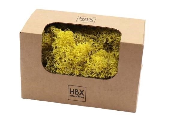 Sušina Moss Reindeer 50g žlutý