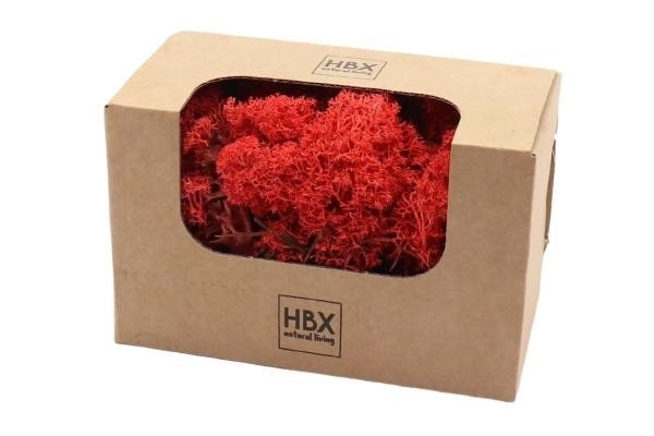 Sušina Moss Reindeer 50g červený