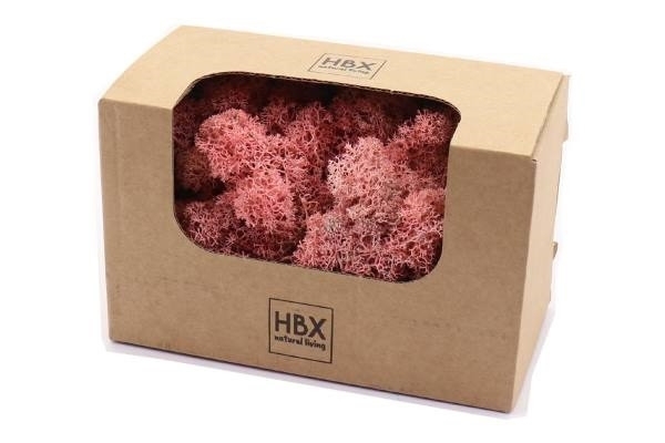 Sušina Moss Reindeer 50g růžový