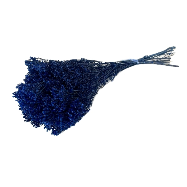 Sušina Broom bloom 100gr blue