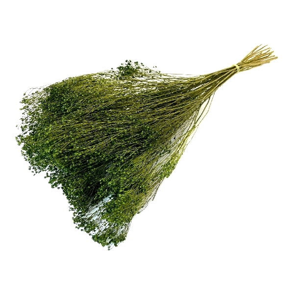 Sušina Broom bloom 100gr tm.zelená