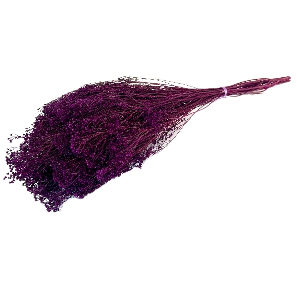 Sušina Broom bloom 100gr erika