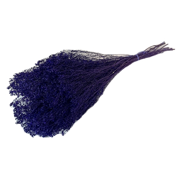Sušina Broom bloom 100gr viola