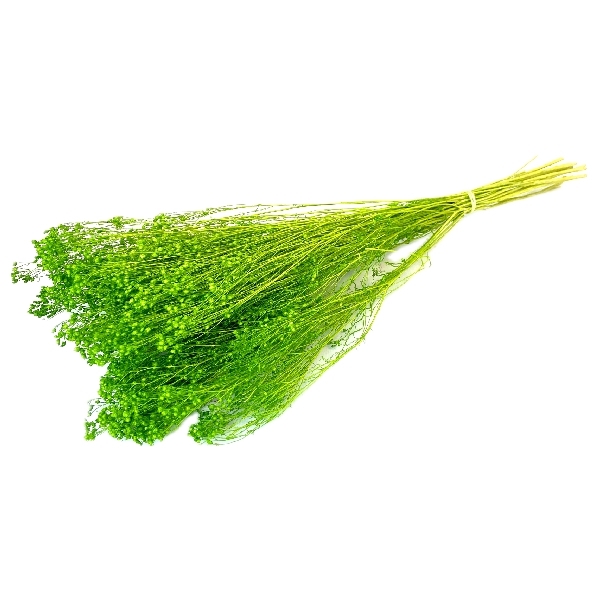 Sušina Broom bloom 100gr sv.zelená