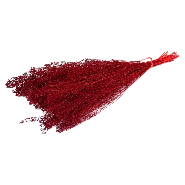 Sušina Broom bloom 100gr červená