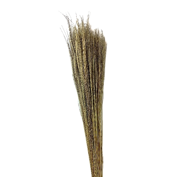 Sušina Fio de ouro 100gr natur