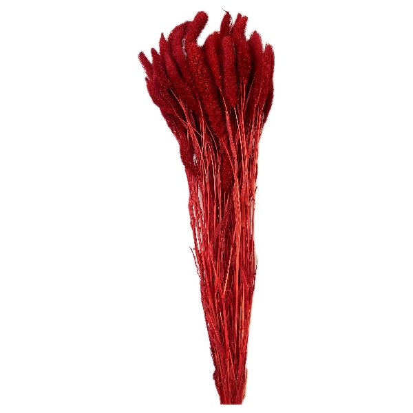 Sušina Setaria 100gr rosso